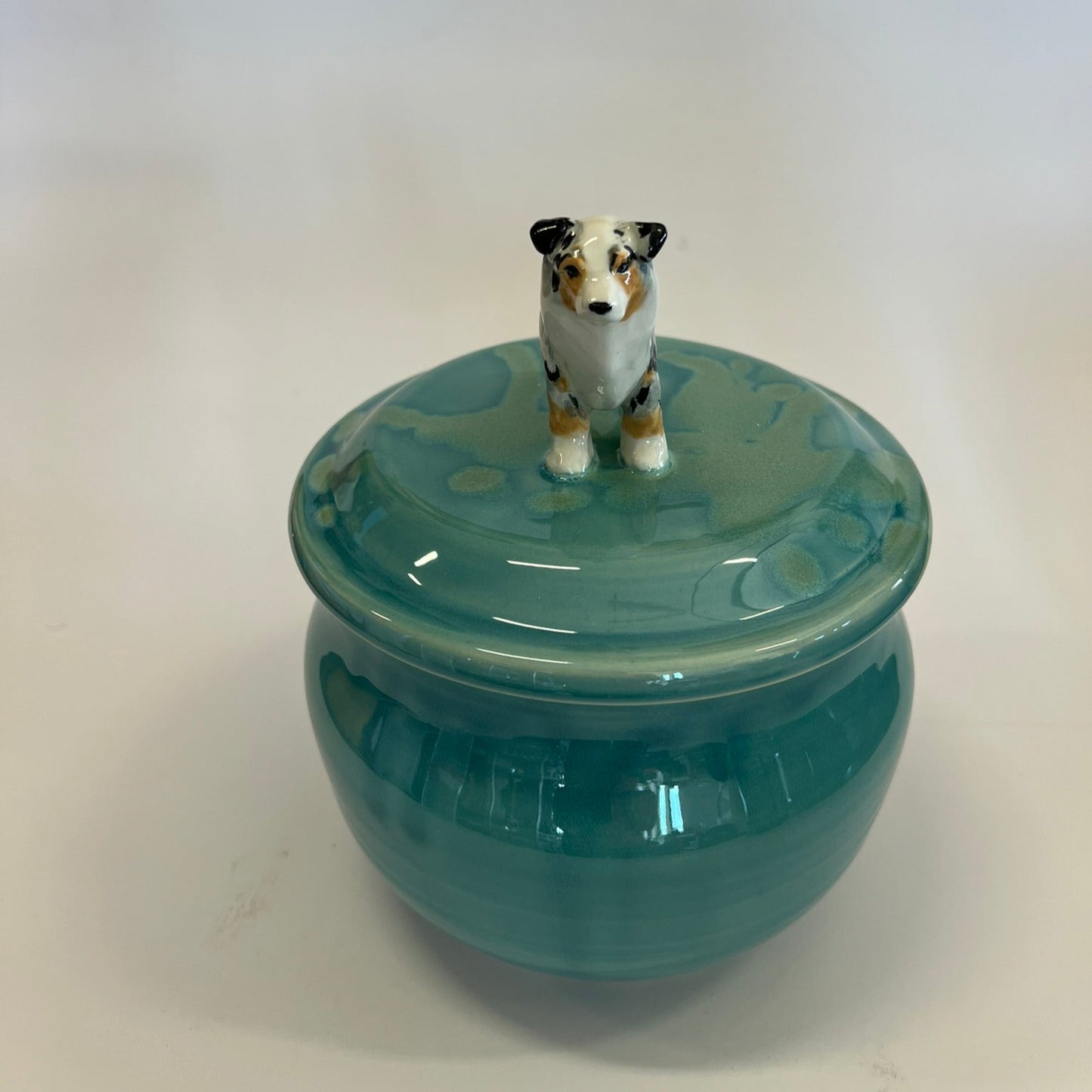 Available Australian Shepard Dog on green