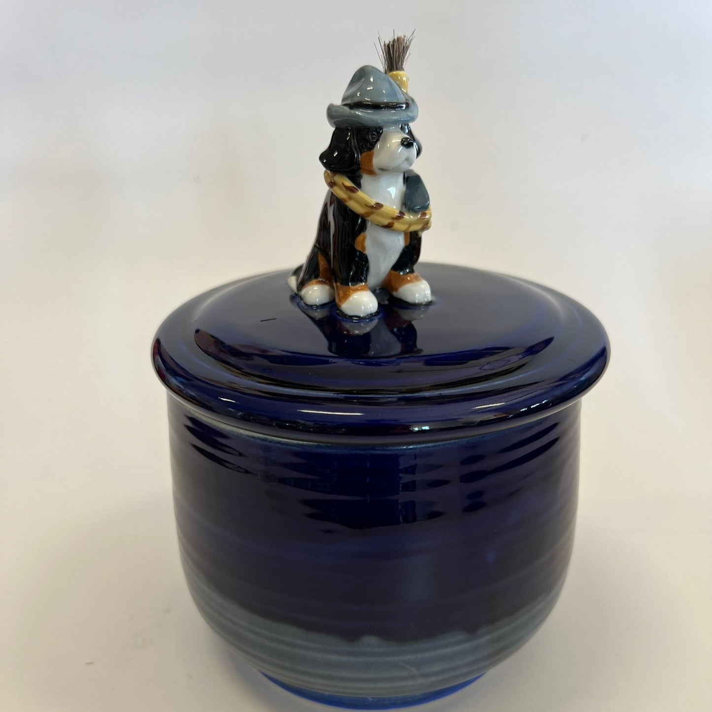 Available Swiss Hiker Bernese Mountain Dog Puppy