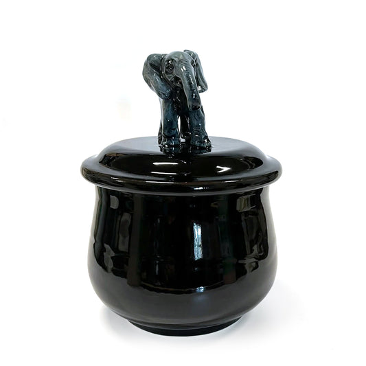 Elephant with Apple