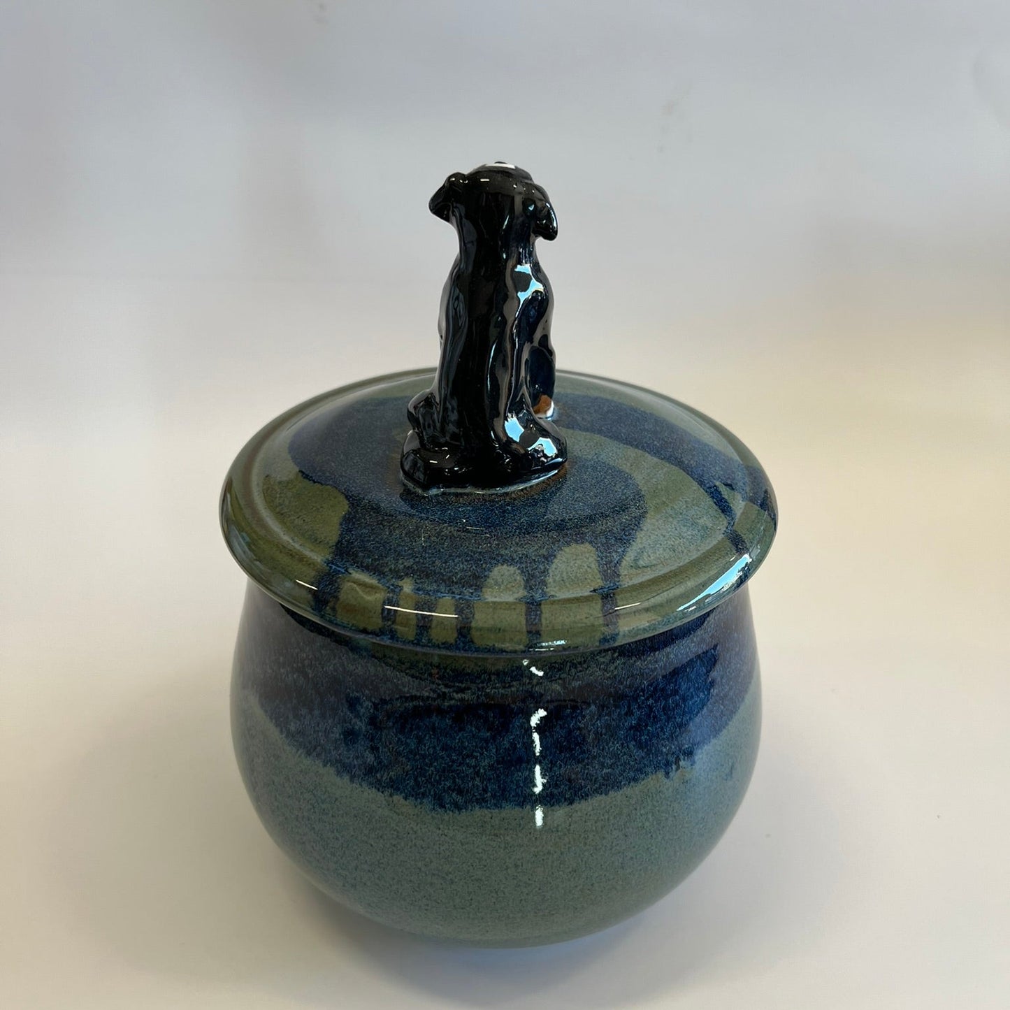 Available Sitting Bernese Mountain Dog on blue
