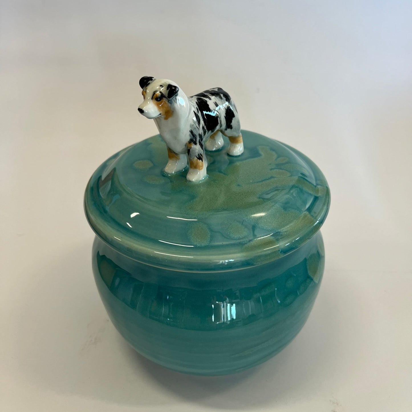 Available Australian Shepard Dog on green