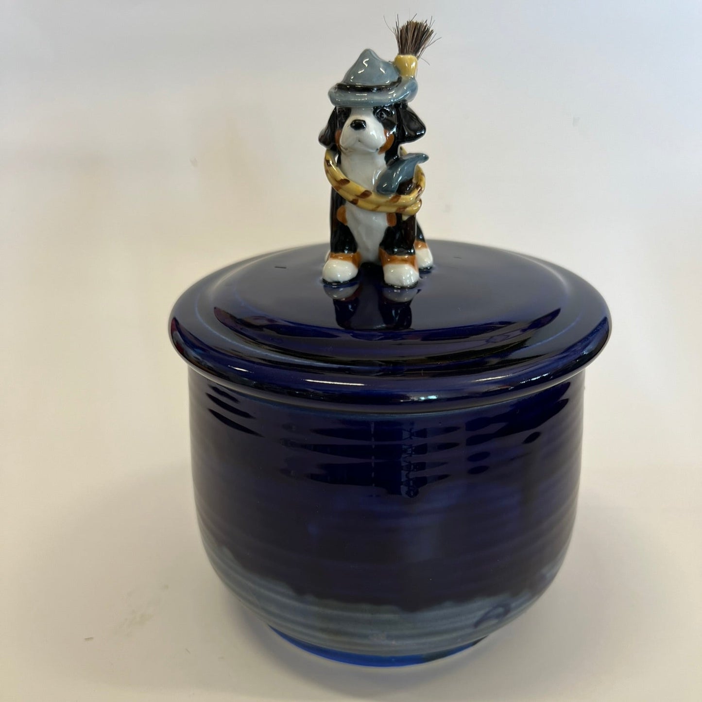 Available Swiss Hiker Bernese Mountain Dog Puppy