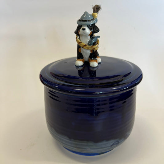 Available Swiss Hiker Bernese Mountain Dog Puppy