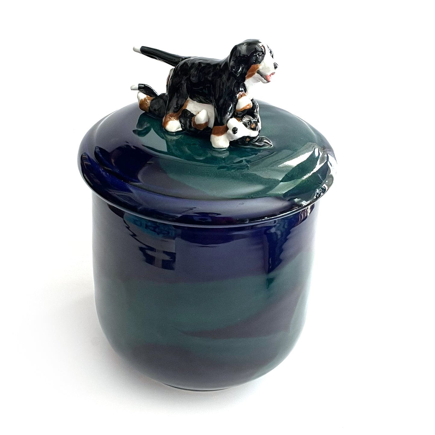 Available Playful Bernese Mountain Dog Puppies