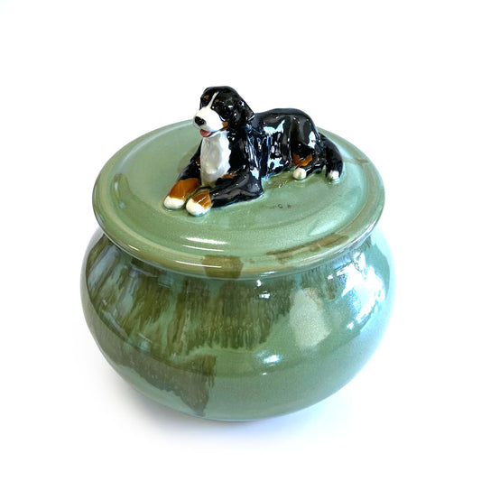 Bernese Mountain Dog on green