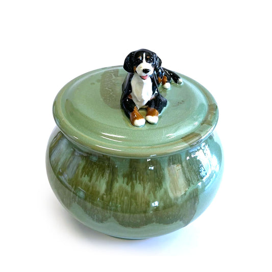 Bernese Mountain Dog on green