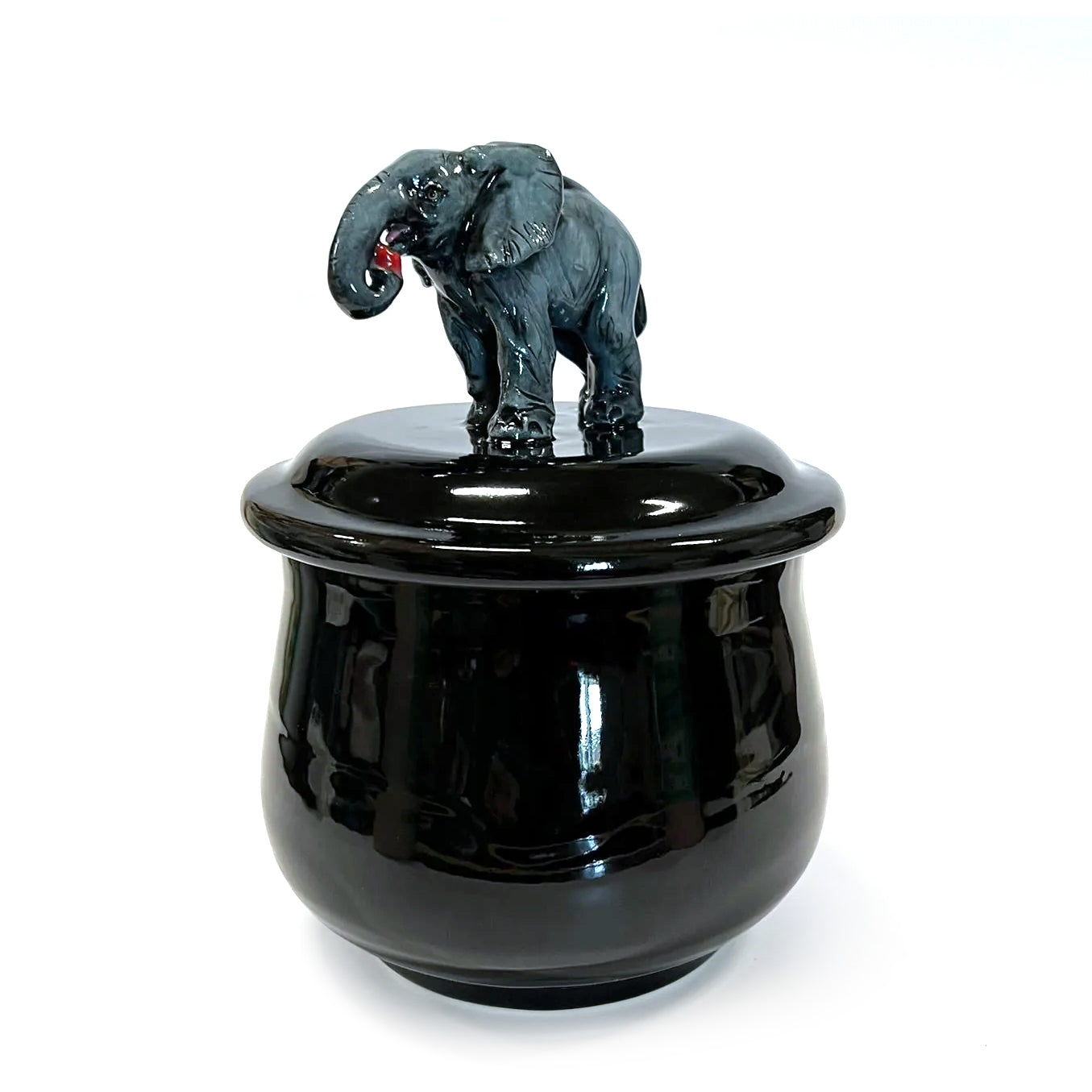 Elephant with Apple