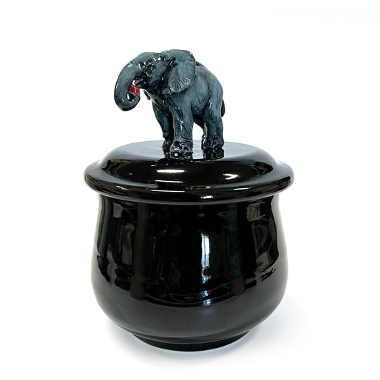 Elephant with Apple