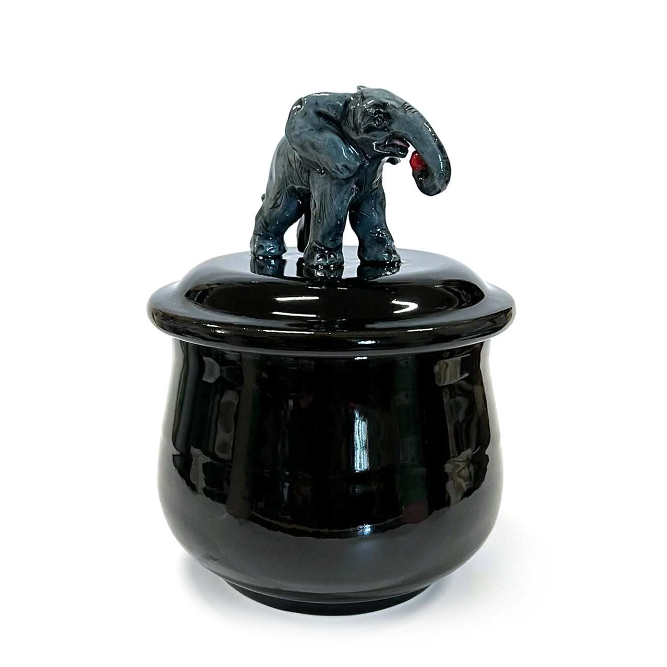 Elephant with Apple