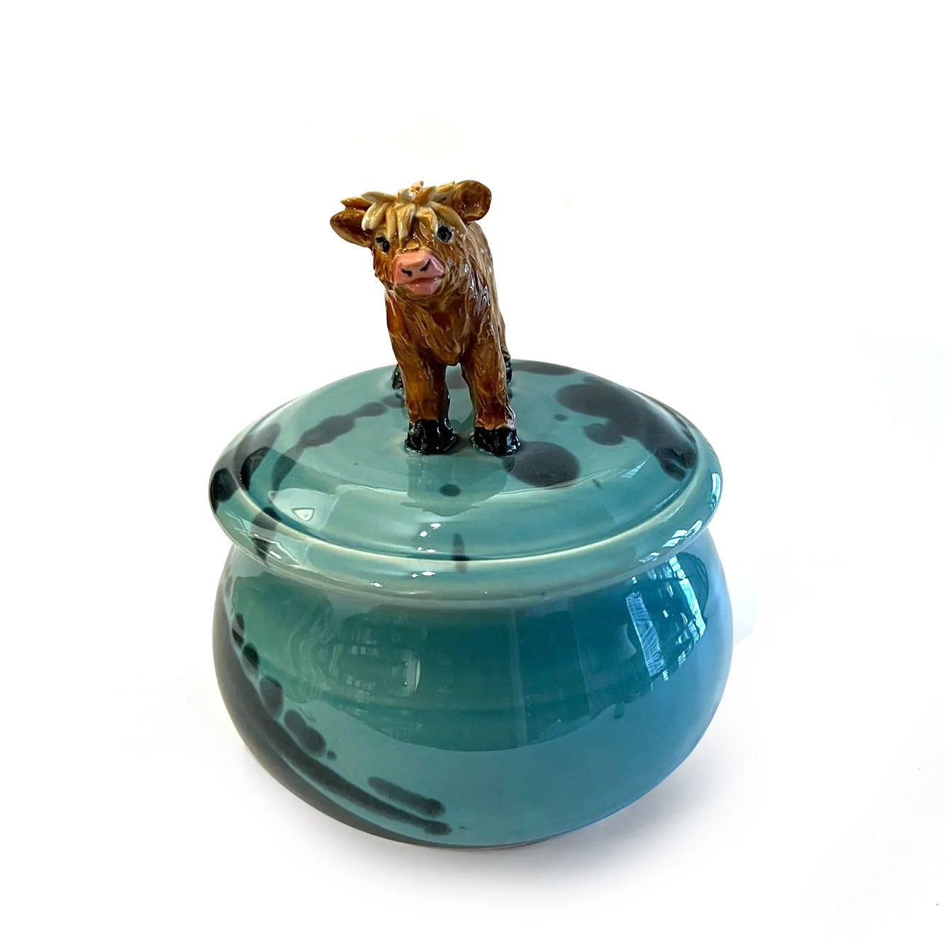 Highland Cows