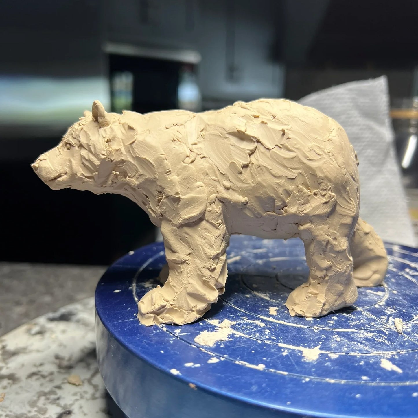 Bears